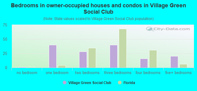 Bedrooms in owner-occupied houses and condos in Village Green Social Club