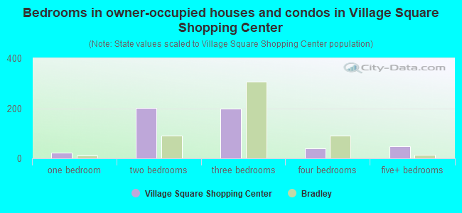 Bedrooms in owner-occupied houses and condos in Village Square Shopping Center