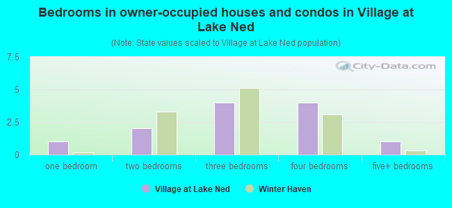 Bedrooms in owner-occupied houses and condos in Village at Lake Ned