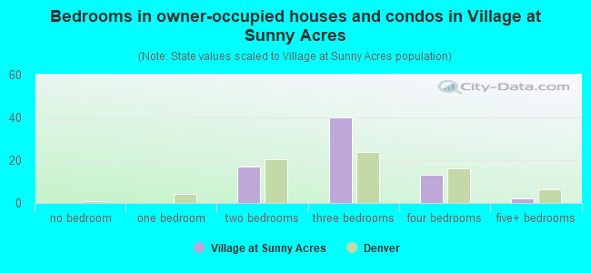 Bedrooms in owner-occupied houses and condos in Village at Sunny Acres