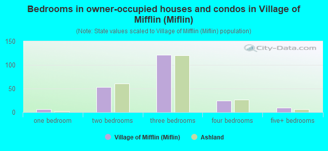 Bedrooms in owner-occupied houses and condos in Village of Mifflin (Miflin)