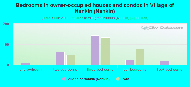 Bedrooms in owner-occupied houses and condos in Village of Nankin (Nankin)