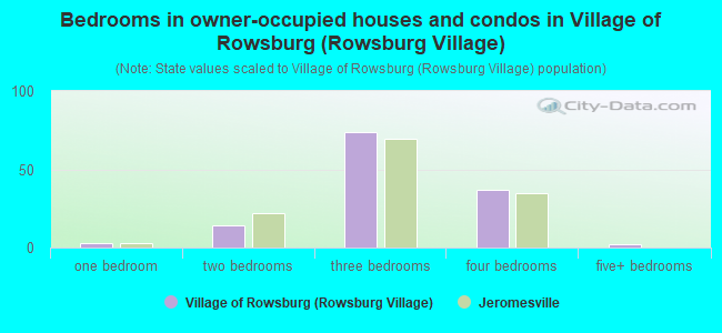 Bedrooms in owner-occupied houses and condos in Village of Rowsburg (Rowsburg Village)