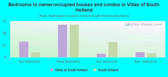 Bedrooms in owner-occupied houses and condos in Villas of South Holland