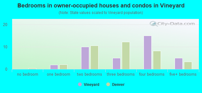 Bedrooms in owner-occupied houses and condos in Vineyard