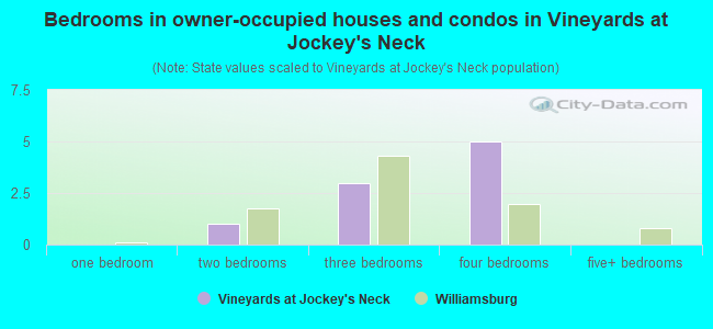 Bedrooms in owner-occupied houses and condos in Vineyards at Jockey's Neck