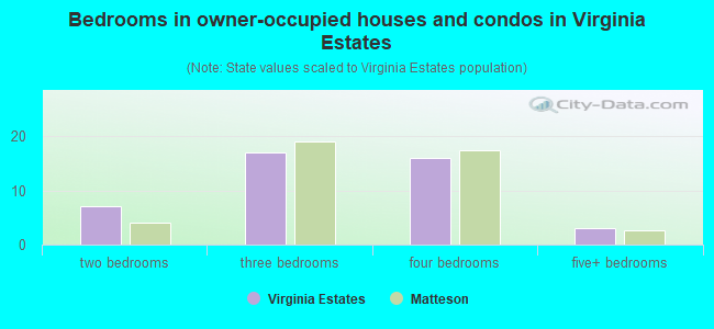 Bedrooms in owner-occupied houses and condos in Virginia Estates