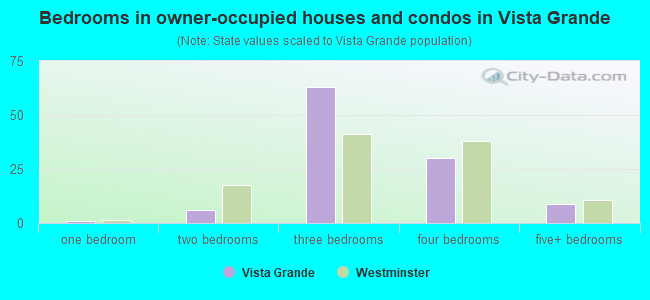 Bedrooms in owner-occupied houses and condos in Vista Grande