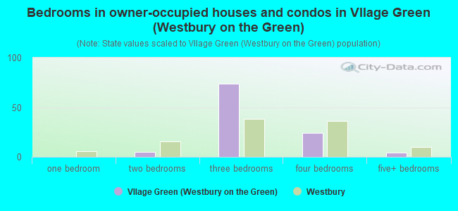 Bedrooms in owner-occupied houses and condos in Vllage Green (Westbury on the Green)