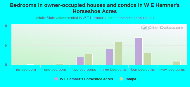 Bedrooms in owner-occupied houses and condos in W E Hamner's Horseshoe Acres