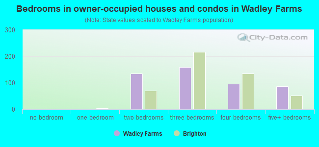 Bedrooms in owner-occupied houses and condos in Wadley Farms