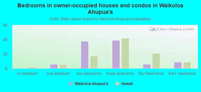 Bedrooms in owner-occupied houses and condos in Waikoloa Ahupua`a