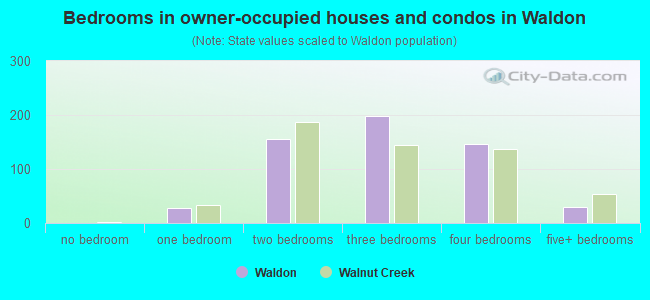 Bedrooms in owner-occupied houses and condos in Waldon
