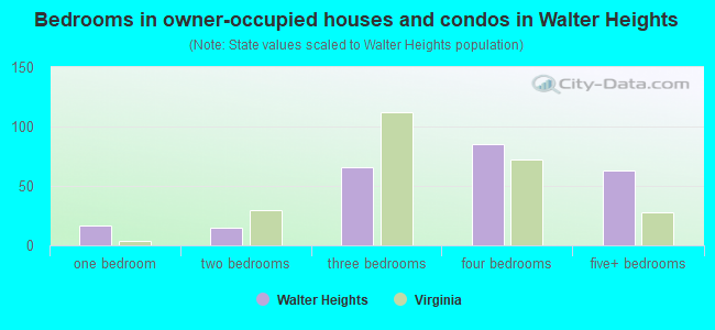 Bedrooms in owner-occupied houses and condos in Walter Heights