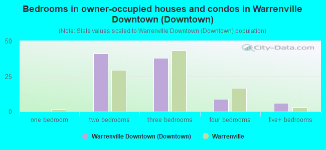 Bedrooms in owner-occupied houses and condos in Warrenville Downtown (Downtown)