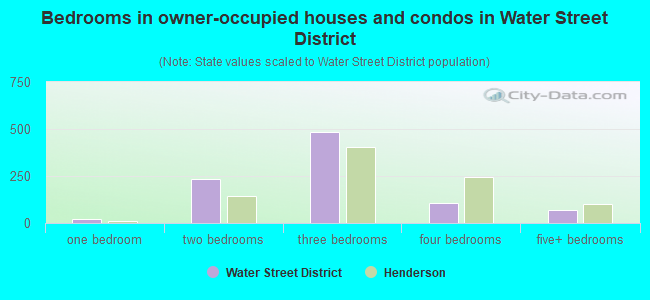 Bedrooms in owner-occupied houses and condos in Water Street District