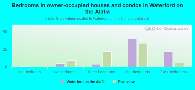 Bedrooms in owner-occupied houses and condos in Waterford on the Alafia