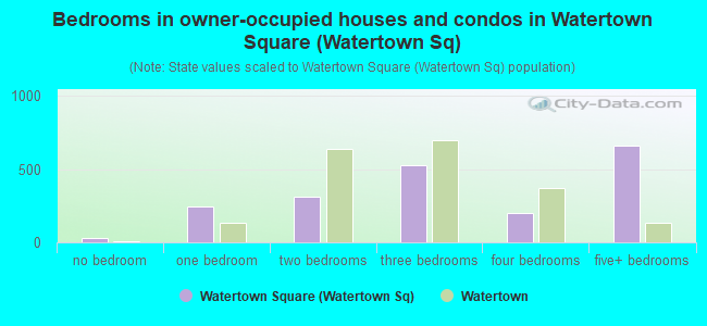 Bedrooms in owner-occupied houses and condos in Watertown Square (Watertown Sq)