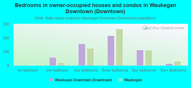 Bedrooms in owner-occupied houses and condos in Waukegan Downtown (Downtown)