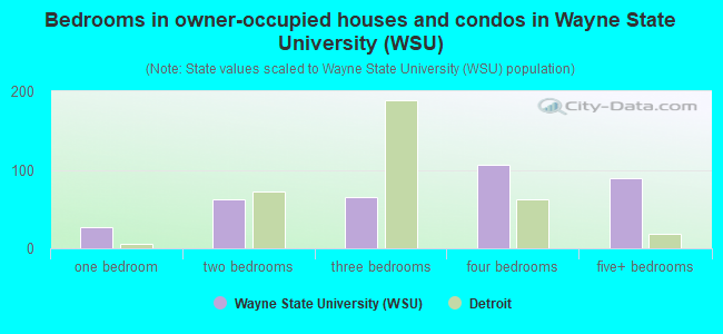 Bedrooms in owner-occupied houses and condos in Wayne State University (WSU)