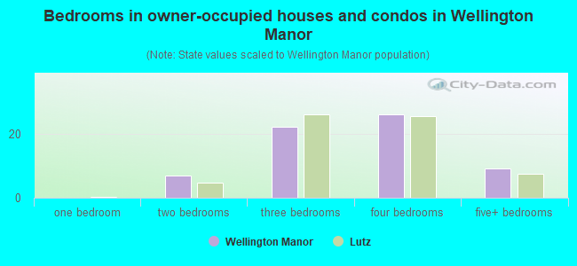 Bedrooms in owner-occupied houses and condos in Wellington Manor