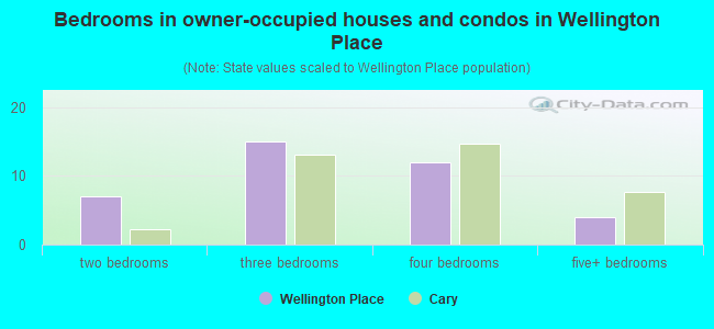 Bedrooms in owner-occupied houses and condos in Wellington Place