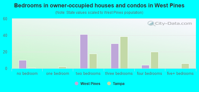 Bedrooms in owner-occupied houses and condos in West Pines