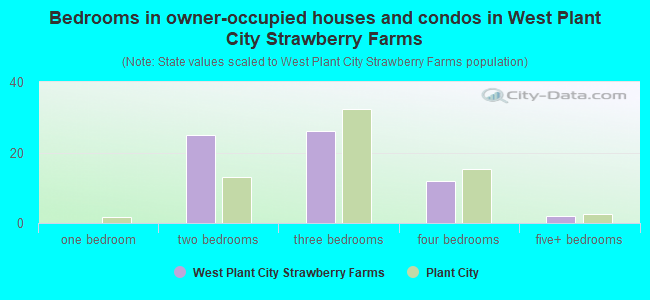 Bedrooms in owner-occupied houses and condos in West Plant City Strawberry Farms