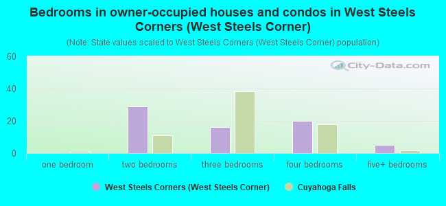 Bedrooms in owner-occupied houses and condos in West Steels Corners (West Steels Corner)