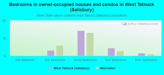 Bedrooms in owner-occupied houses and condos in West Tatnuck (Salisbury)