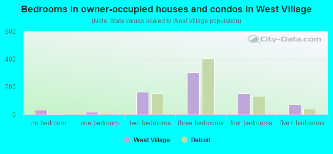 Bedrooms in owner-occupied houses and condos in West Village