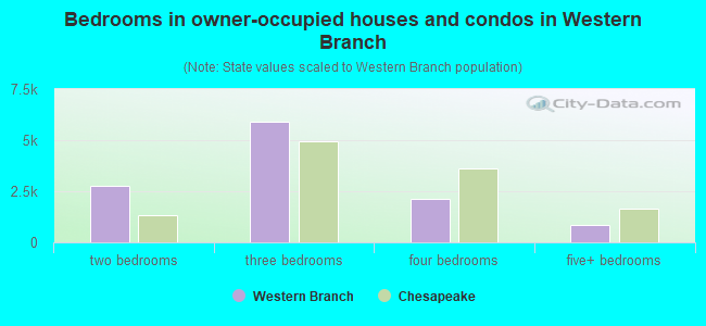 Bedrooms in owner-occupied houses and condos in Western Branch