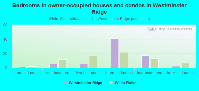 Bedrooms in owner-occupied houses and condos in Westminster Ridge