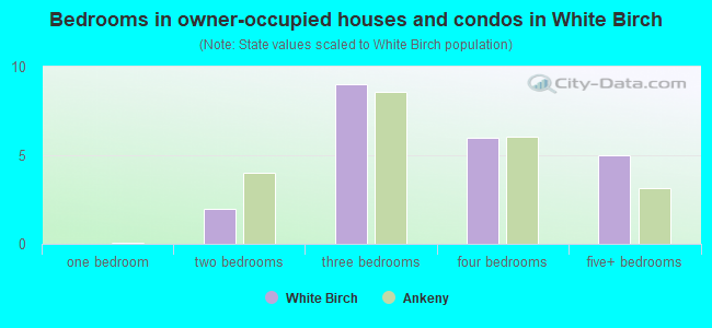 Bedrooms in owner-occupied houses and condos in White Birch