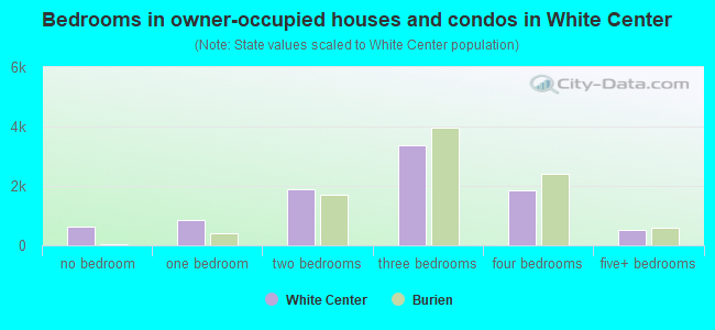 Bedrooms in owner-occupied houses and condos in White Center