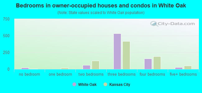 Bedrooms in owner-occupied houses and condos in White Oak