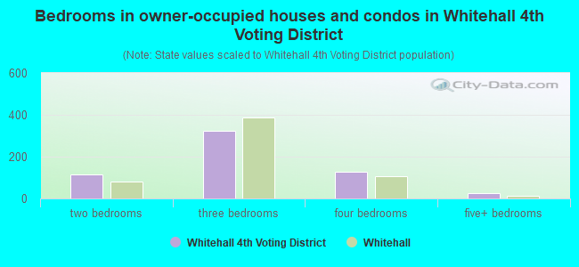 Bedrooms in owner-occupied houses and condos in Whitehall 4th Voting District