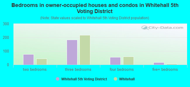 Bedrooms in owner-occupied houses and condos in Whitehall 5th Voting District