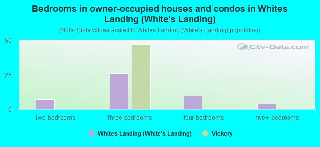 Bedrooms in owner-occupied houses and condos in Whites Landing (White's Landing)