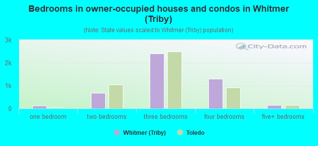 Bedrooms in owner-occupied houses and condos in Whitmer (Triby)