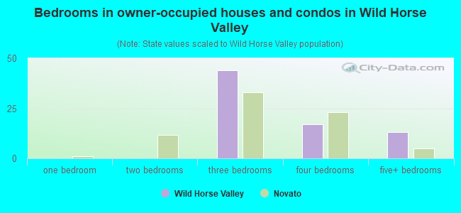 Bedrooms in owner-occupied houses and condos in Wild Horse Valley