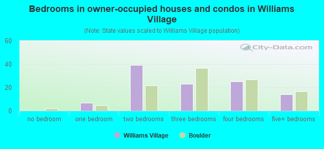 Bedrooms in owner-occupied houses and condos in Williams Village