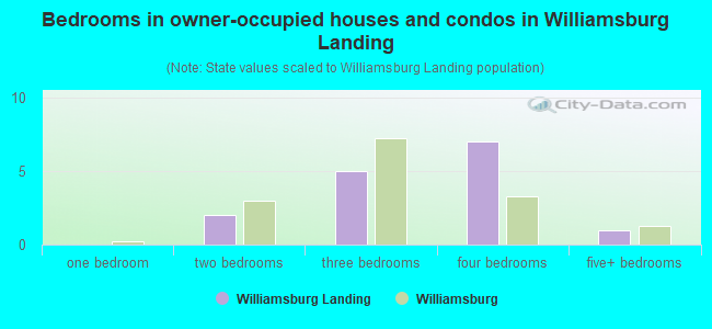 Bedrooms in owner-occupied houses and condos in Williamsburg Landing