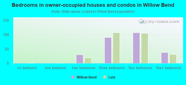 Bedrooms in owner-occupied houses and condos in Willow Bend