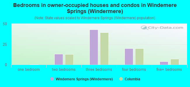 Bedrooms in owner-occupied houses and condos in Windemere Springs (Windermere)