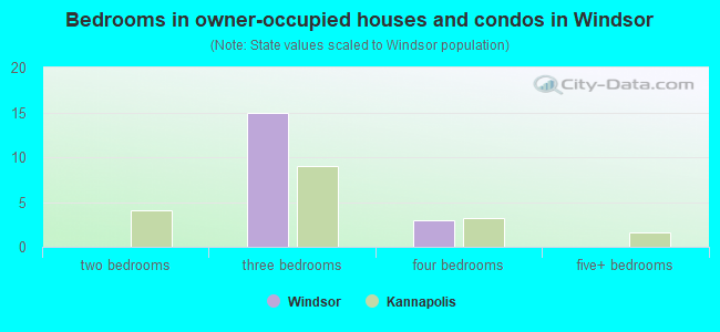 Bedrooms in owner-occupied houses and condos in Windsor
