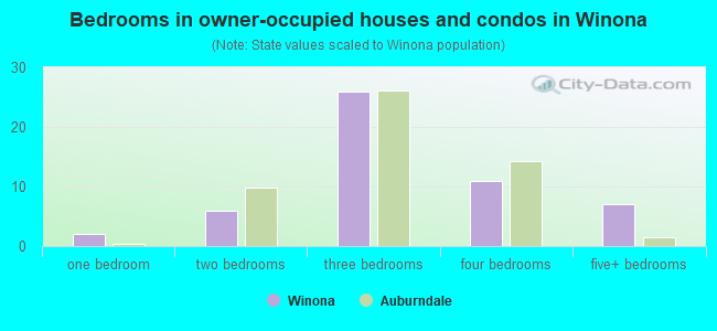 Bedrooms in owner-occupied houses and condos in Winona