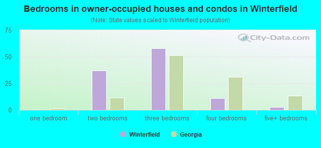 Bedrooms in owner-occupied houses and condos in Winterfield
