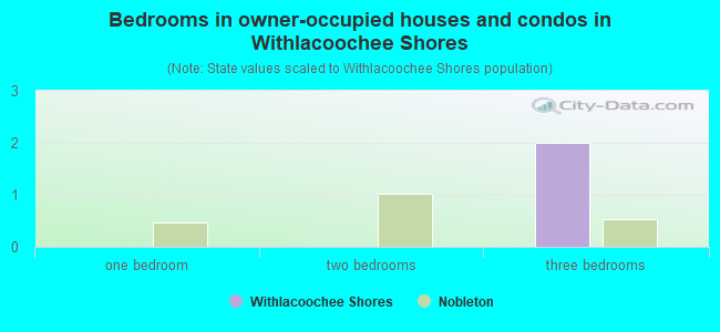 Bedrooms in owner-occupied houses and condos in Withlacoochee Shores