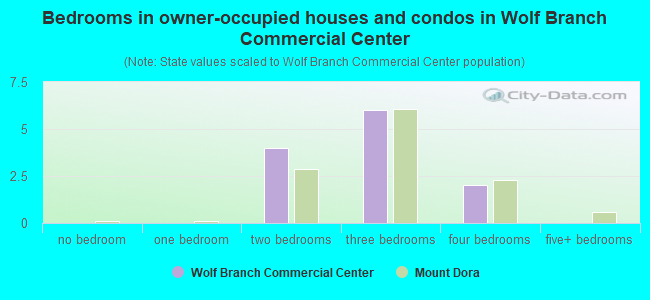 Bedrooms in owner-occupied houses and condos in Wolf Branch Commercial Center